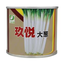 玖悦大葱--日本品种